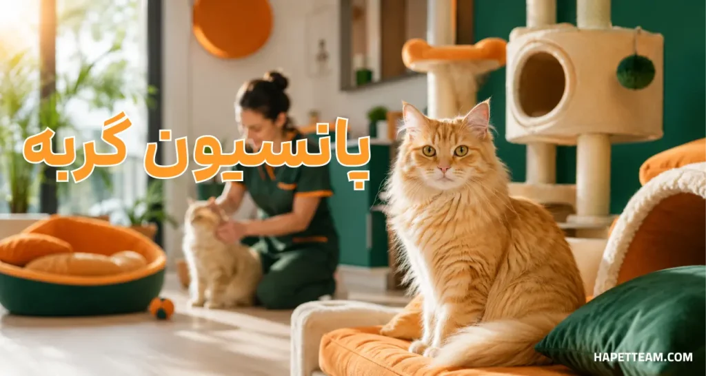 هتل پانسیون گربه در غرب تهران