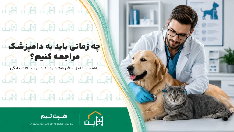 چه زمانی باید به دامپزشکی مراجغع کنیم ؟ تصویر شاخص