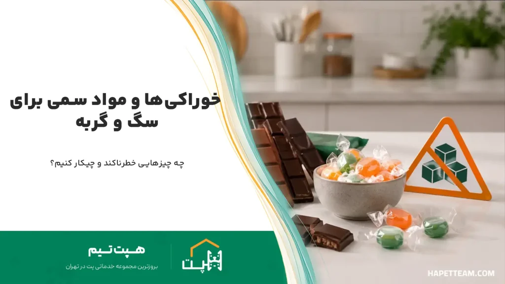 غذای سمی سگ و گربه