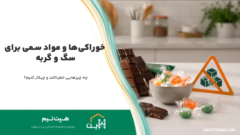 غذای سمی سگ و گربه