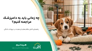 سگ چند ساعت می‌تواند در خانه تنها بماند؟ مدت‌زمان و عوارض تنهایی
