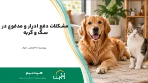 مشکلات دفع ادرار و مدفوع در سگ و گربه: یبوست تا احتباس ادرار