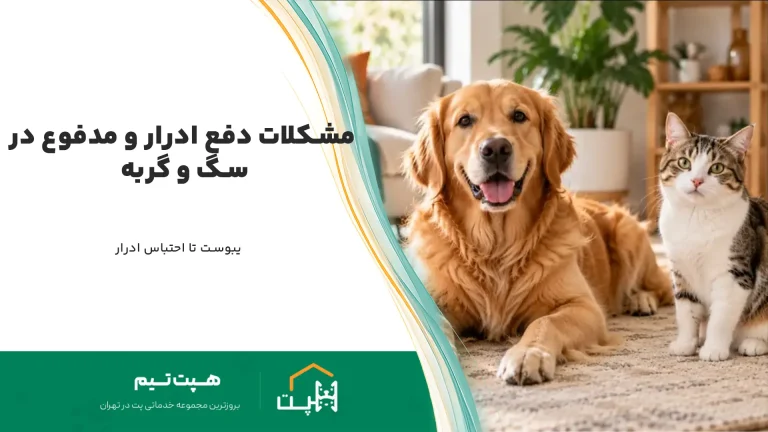 مشکلات دفع ادرار و مدفوع در سگ و گربه: یبوست تا احتباس ادرار